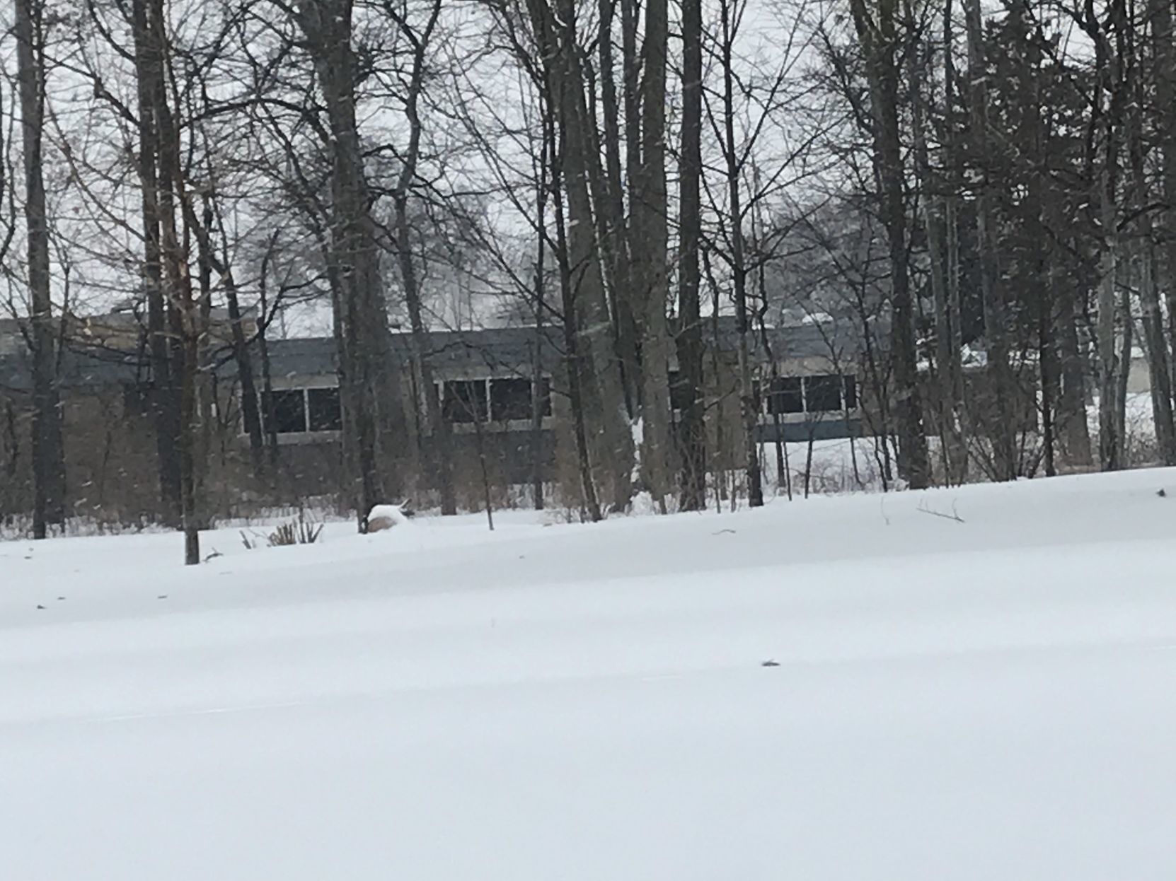 Winter weather
